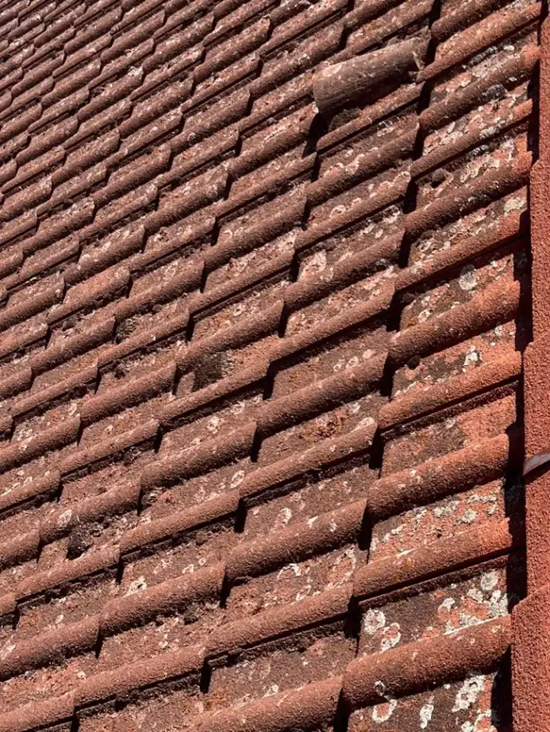 Střecha s mechem a lišejníky před čištěním